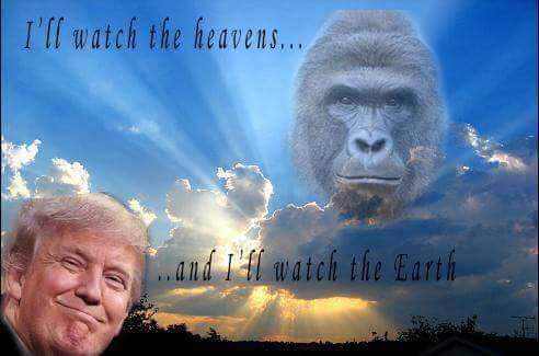 #neverforget